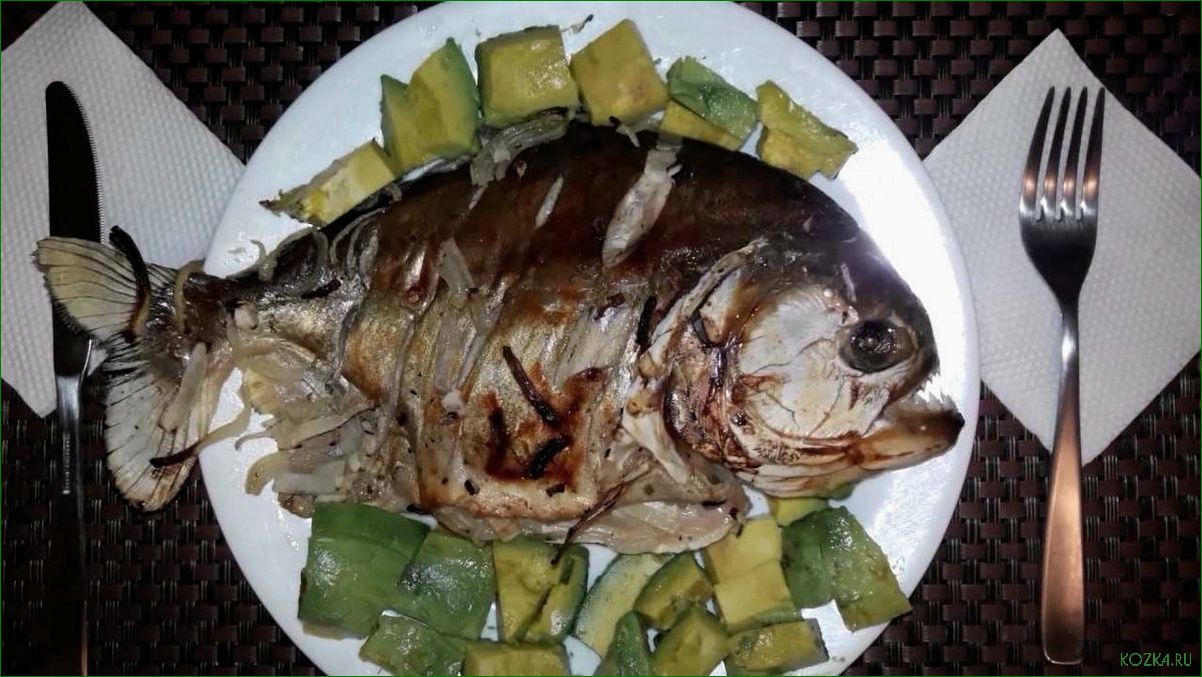(пиранья, блюда, рыбы) Пиранья: блюда из рыбы