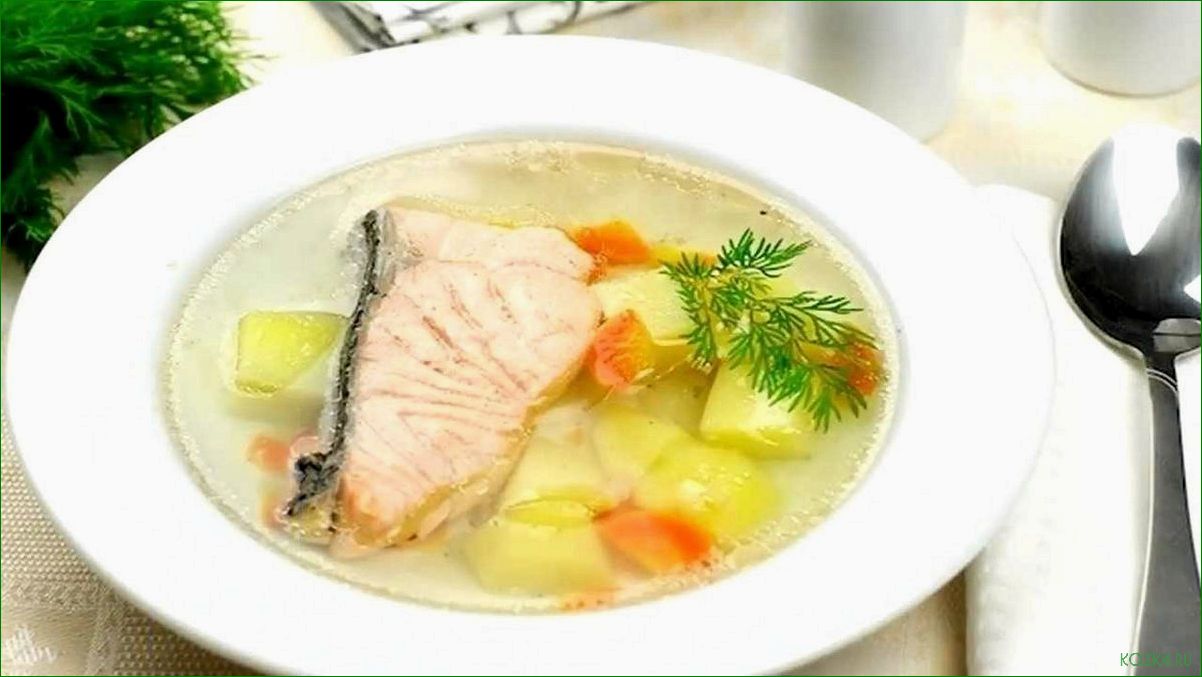 Рыбный суп белок