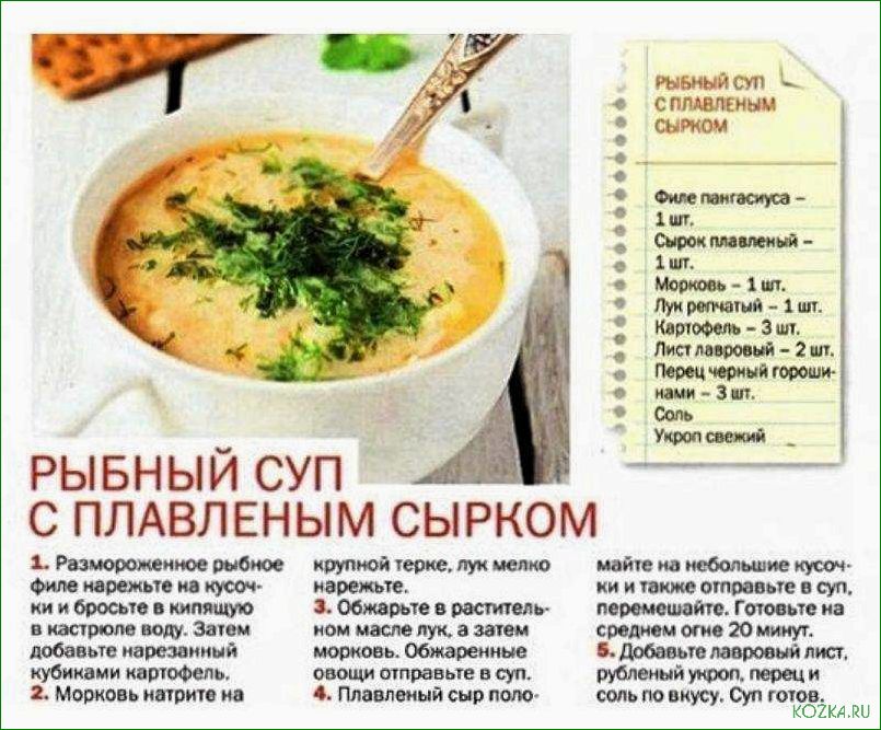 Рыбный суп для кошки: рецепты и полезные советы