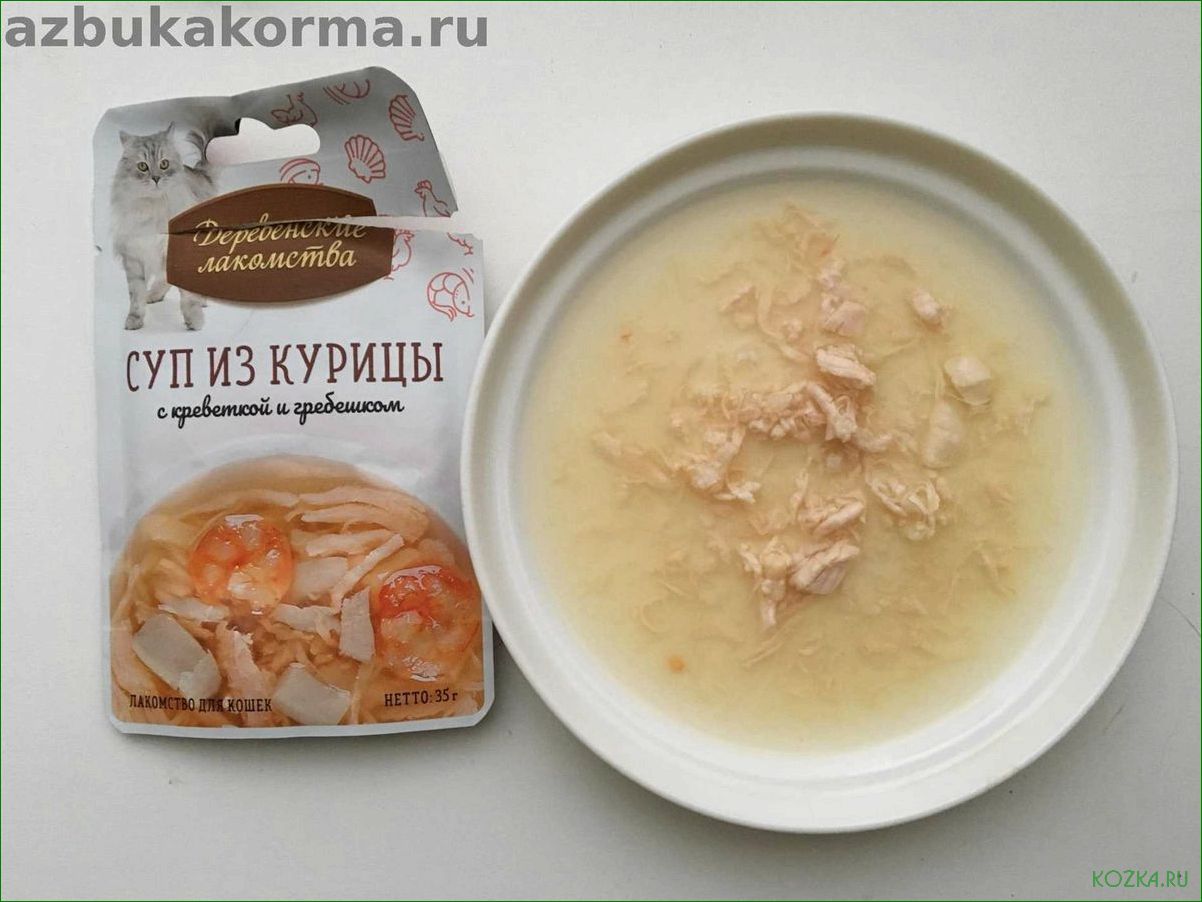 Рыбный суп для кошки: рецепты и полезные советы