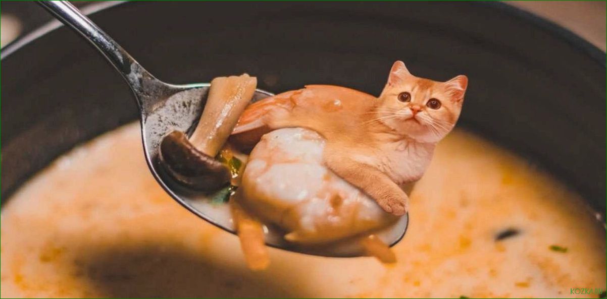 Рыбный суп для кошки: рецепты и полезные советы
