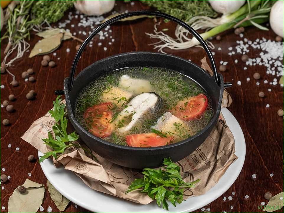 Рыбный суп для котов: рецепты и полезные советы
