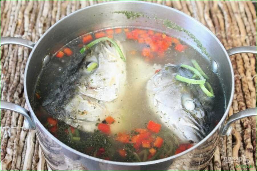 Рыбный суп для котов: рецепты и полезные советы