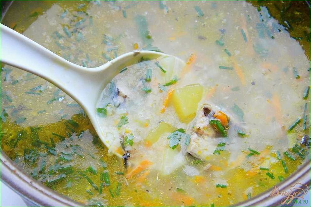 Как приготовить вкусный рыбный суп с использованием риса