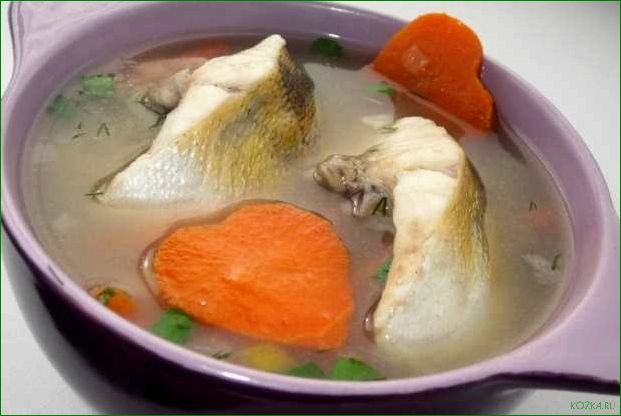 Приготовление вкусного рыбного супа с использованием судака.