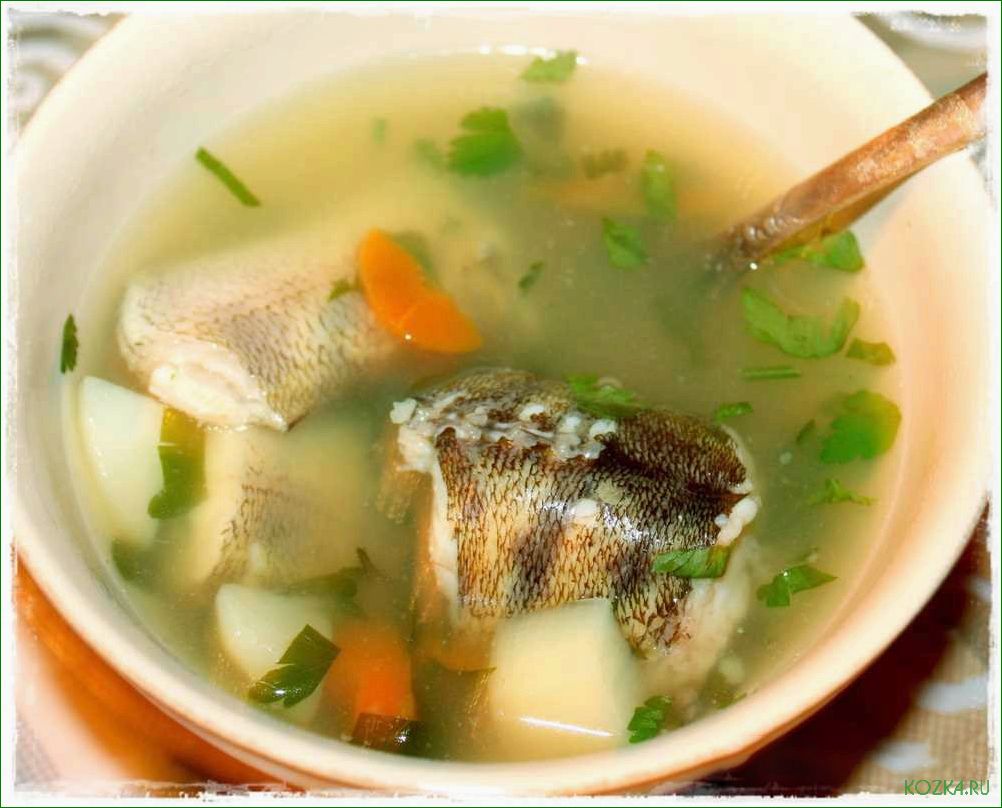 Приготовление вкусного рыбного супа с использованием судака.