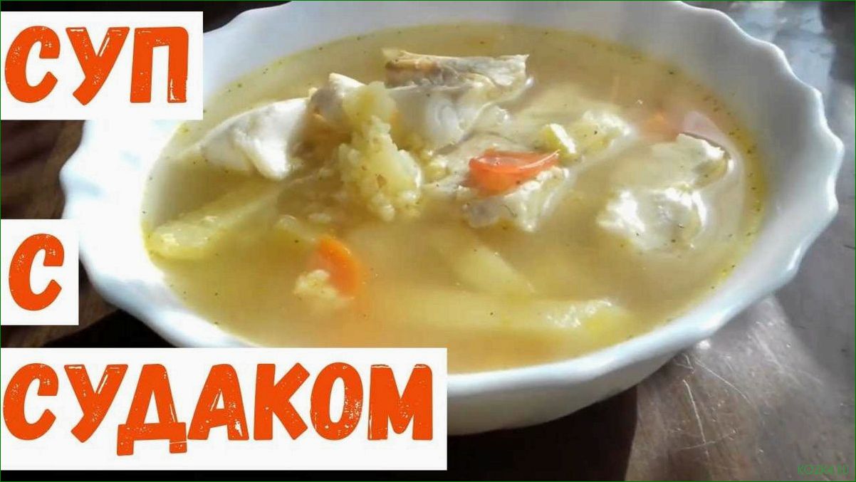 Приготовление вкусного рыбного супа с использованием судака.