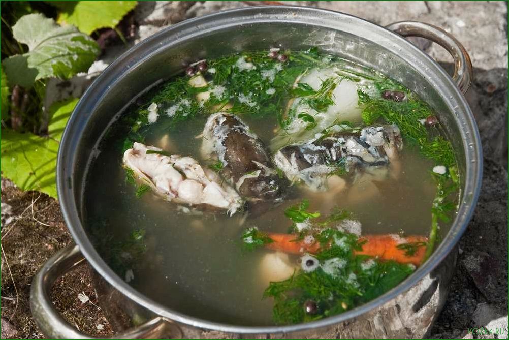 (приготовление, вкусного, питательного, рыбного, супа) Приготовление вкусного и питательного рыбного супа с использованием свежей севрюги
