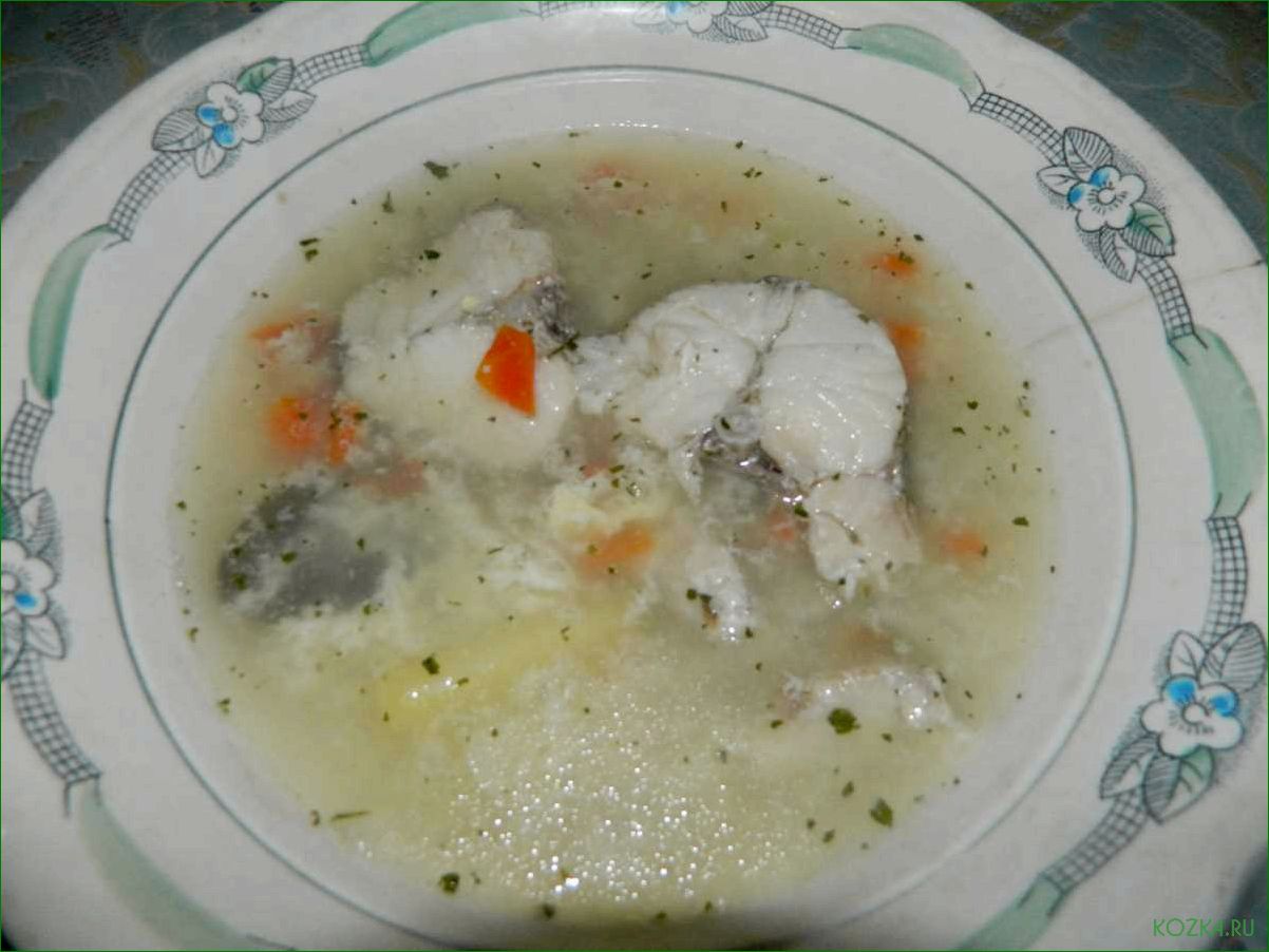 Рыбный суп из судака