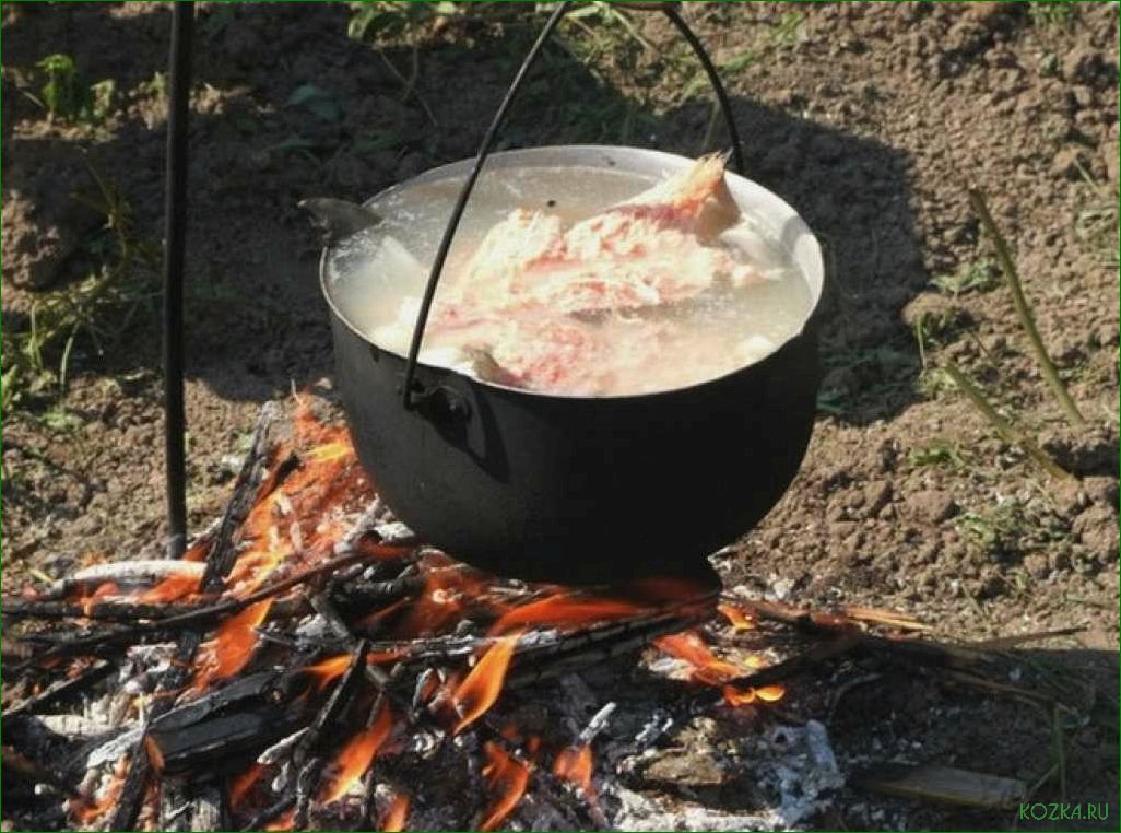 (рыбный, природе, простой, вкусный, рецепт) Рыбный суп на природе: простой и вкусный рецепт