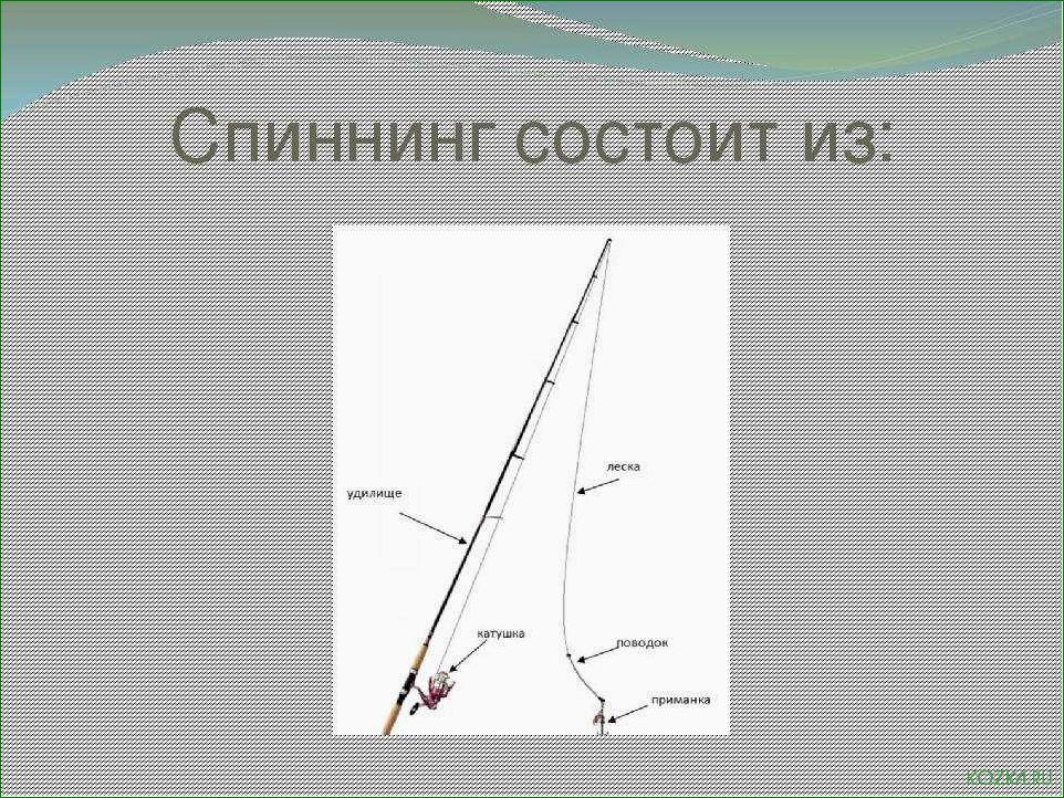 Колено удилища — узнайте все о его основных характеристиках, применении и технике использования для успешной рыбалки!