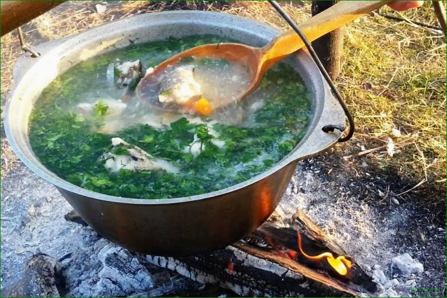 (рыбный, сома) Рыбный суп из сома