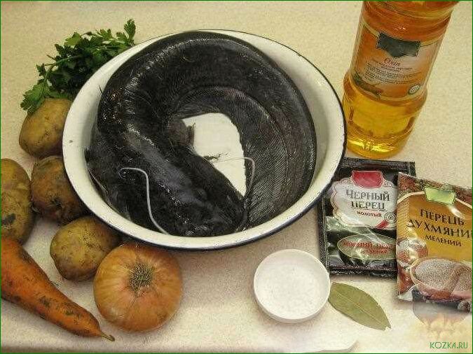 (рыбный, сома) Рыбный суп из сома