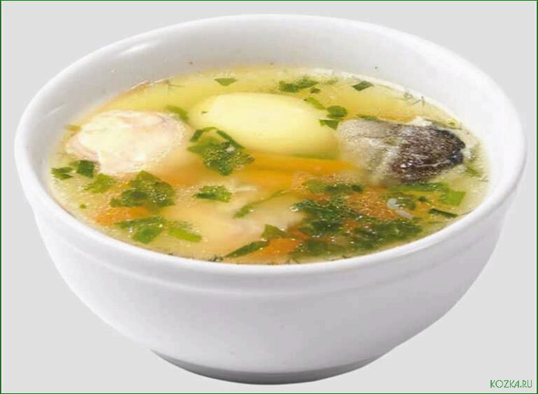 Приготовление вкусного и питательного рыбного супа с печенью