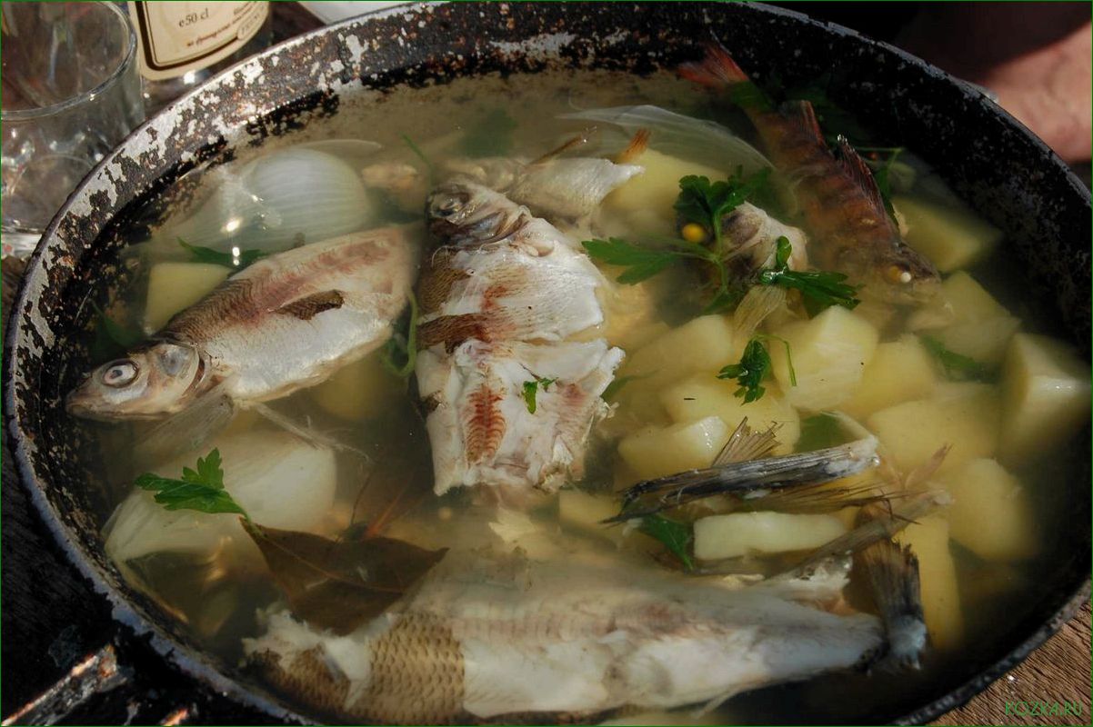 Приготовление вкусного и питательного рыбного супа с использованием леща