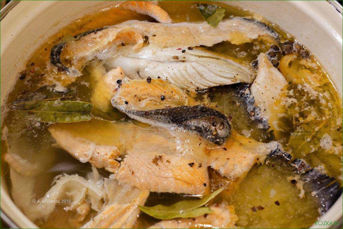 Рыбный суп с сомом
