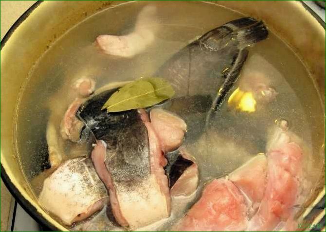 Рыбный суп с сомом