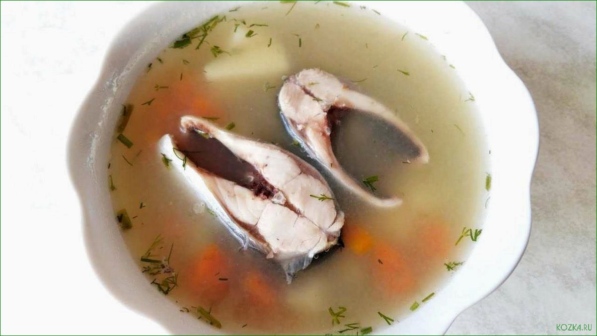 Как приготовить вкусный рыбный суп с селедкой: рецепт и секреты