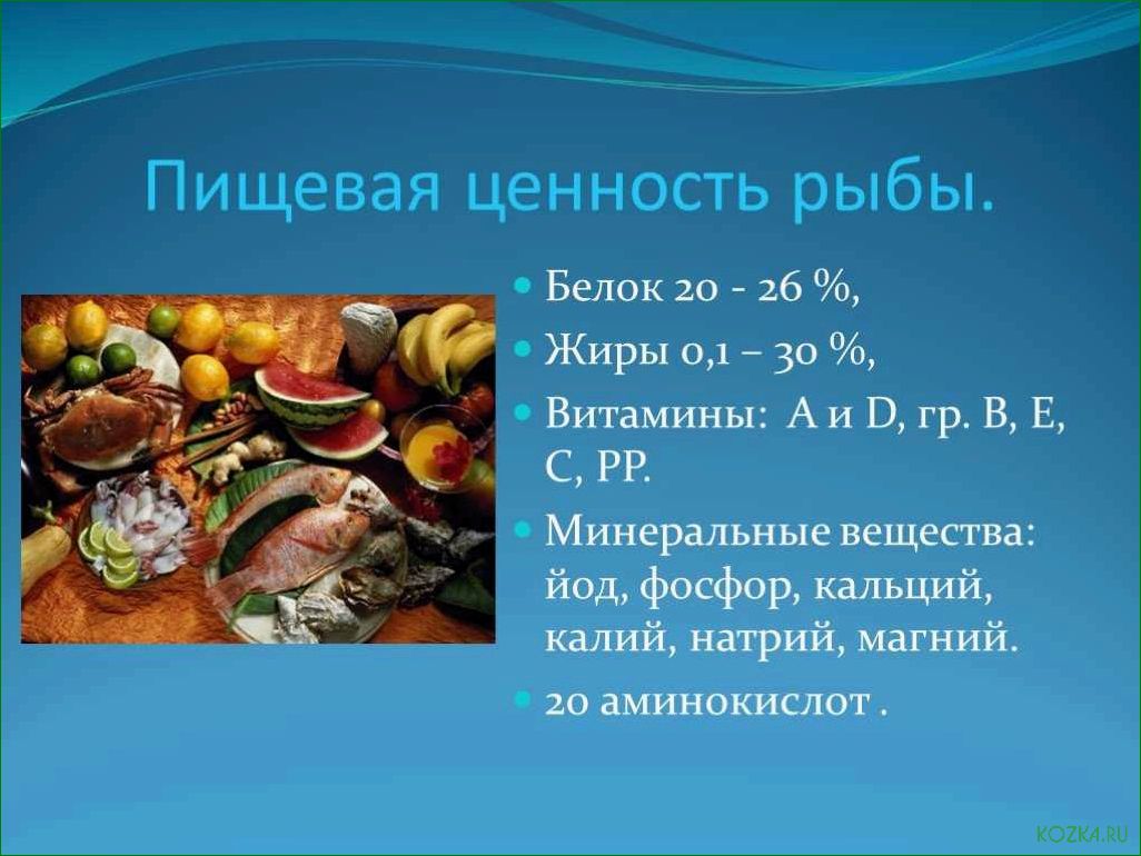 (рыба, вкусное, полезное, блюдо) Рыба — вкусное и полезное блюдо