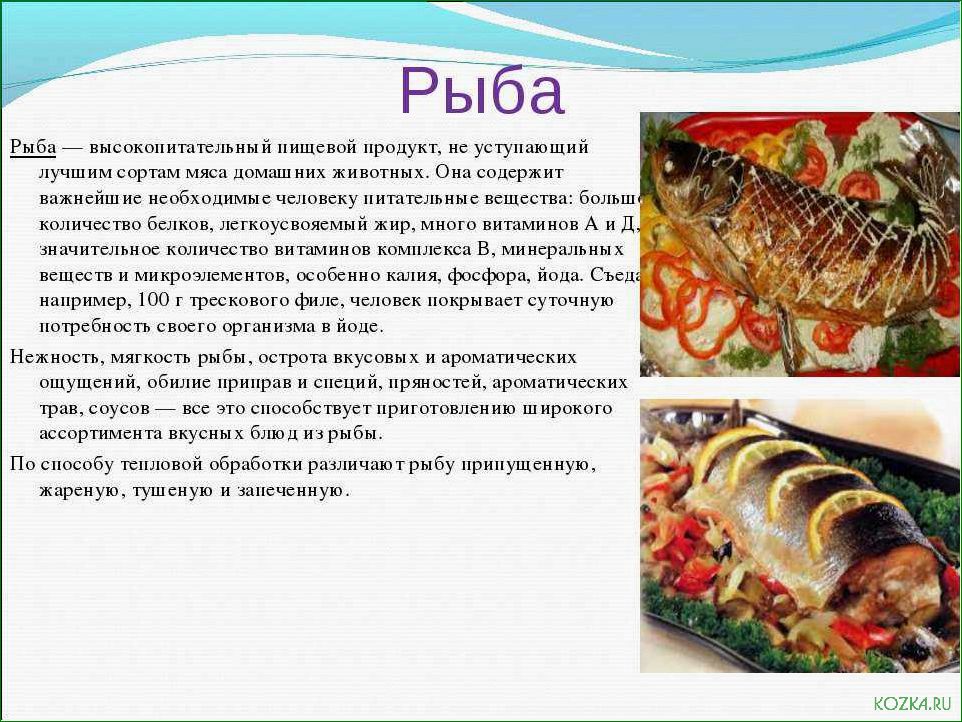 (рыба, вкусное, полезное, блюдо) Рыба — вкусное и полезное блюдо