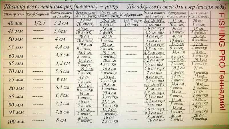 Леска рыболовной сети — незаменимый инструмент для успешной рыбалки  