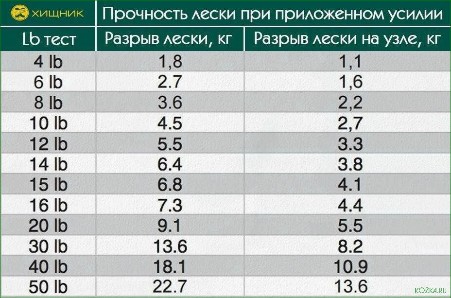 Леска рыболовной сети — незаменимый инструмент для успешной рыбалки  