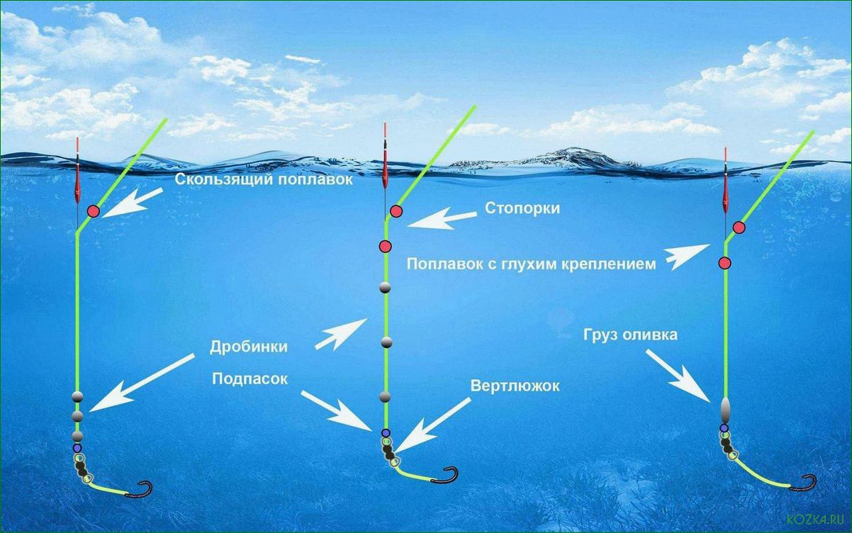 (тонкий, поплавок, незаменимый, инструмент, рыболовов) Тонкий поплавок — незаменимый инструмент для рыболовов — преимущества использования и особенности подбора