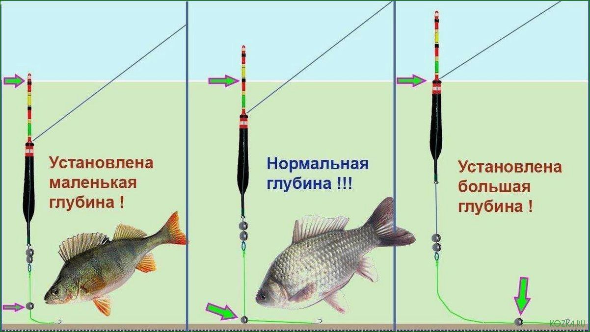 (тонкий, поплавок, незаменимый, инструмент, рыболовов) Тонкий поплавок — незаменимый инструмент для рыболовов — преимущества использования и особенности подбора