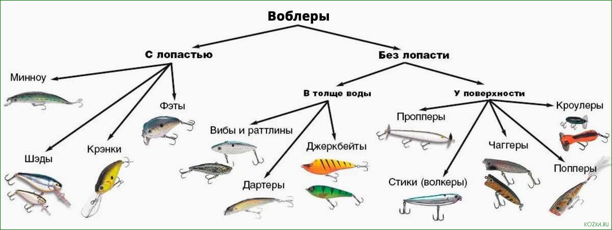 Воблер Дуо — подробное описание, уникальные особенности и эффективное применение в рыбалке