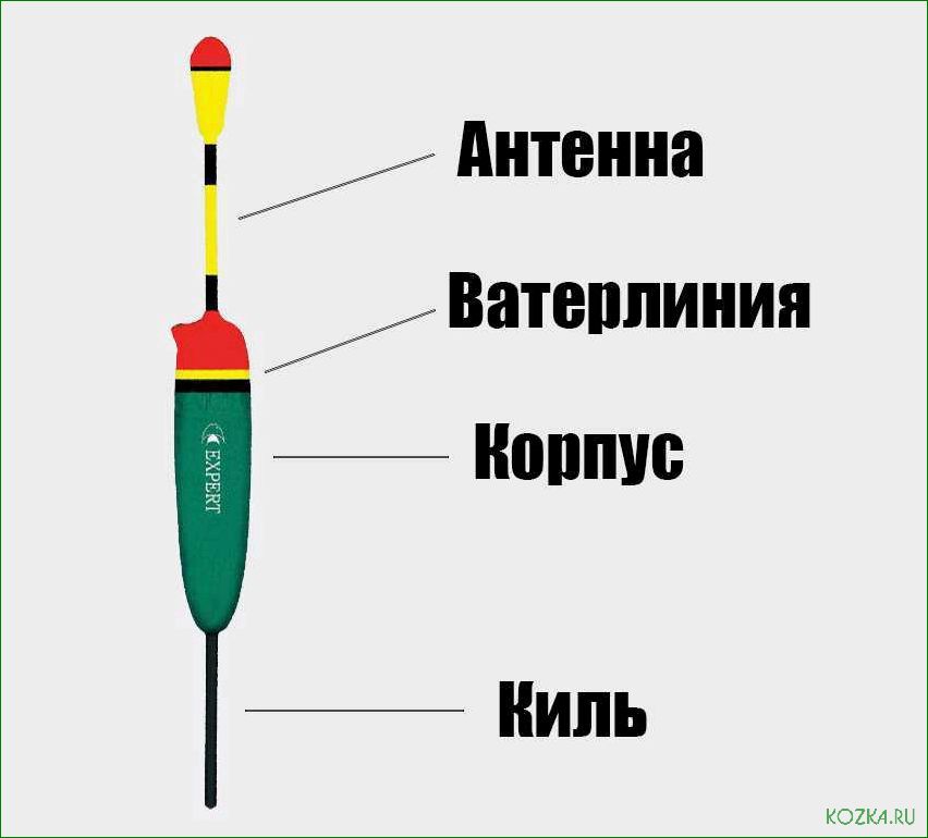 (звуковой, поплавок, ключевой, инструмент, мире) Звуковой поплавок — ключевой инструмент в мире гидротехники и геологии