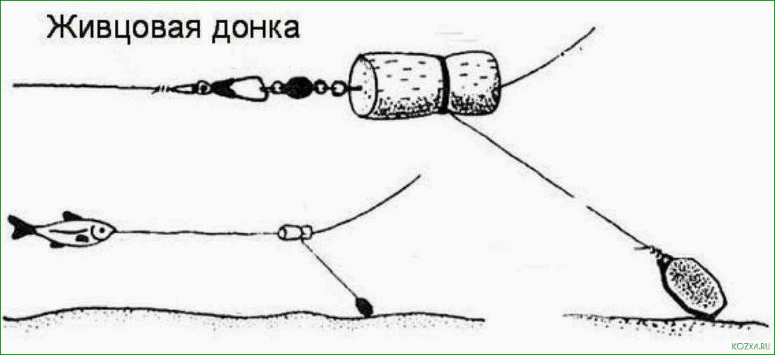 Улучшенная снасть для эффективной рыбалки на хищников — секреты выбора и использования