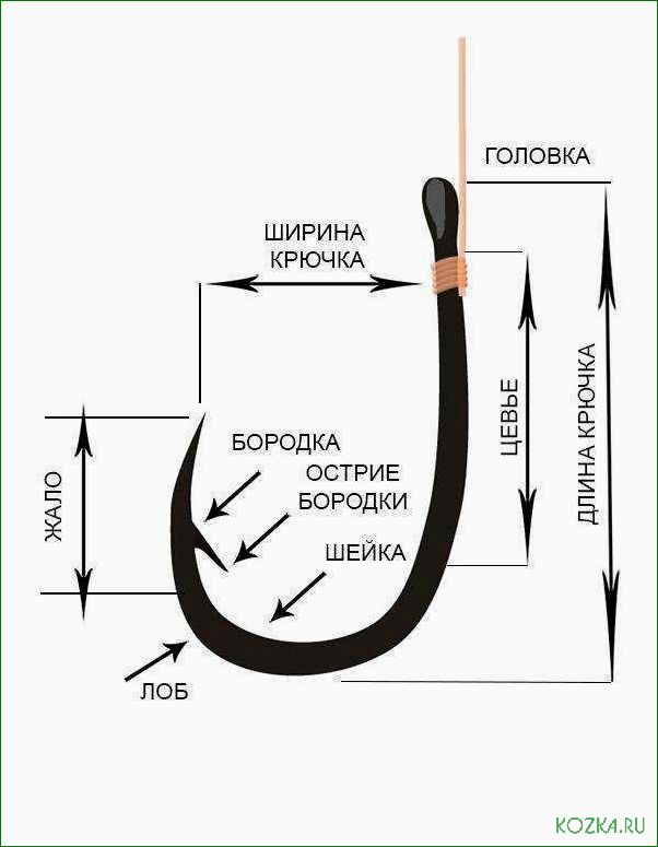 (структура, состав, рыболовного, крючка, основные) Структура и состав рыболовного крючка — основные элементы, материалы и их влияние на уловистость