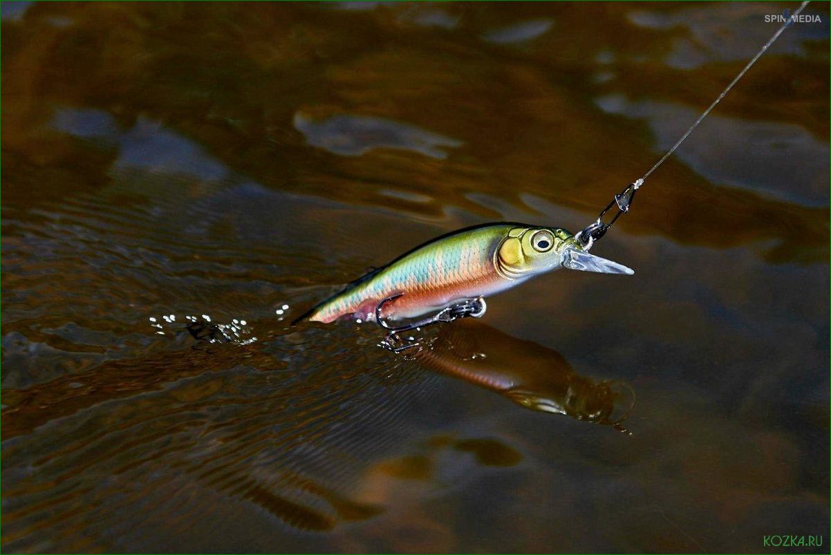 (гигантские, воблеры, ключ, улову, крупной) Гигантские воблеры — ключ к улову крупной рыбы — секреты эффективной ловли и приманки