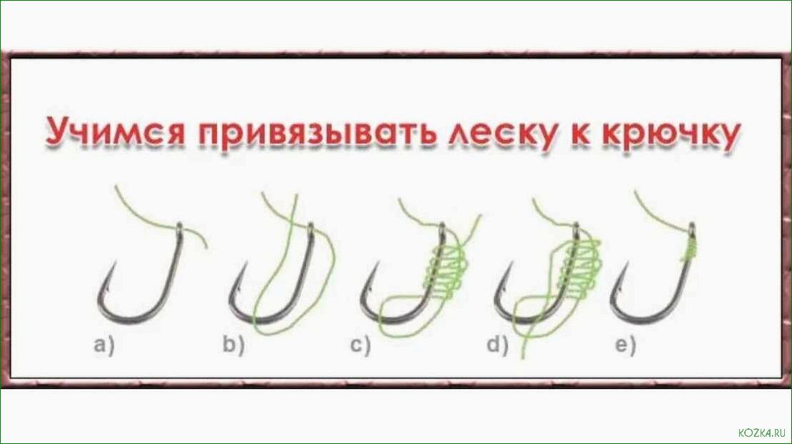 (правильно, вязать, рыболовные, крючки, леске) Как правильно вязать рыболовные крючки к леске — пошаговая инструкция для успешного лова рыбы