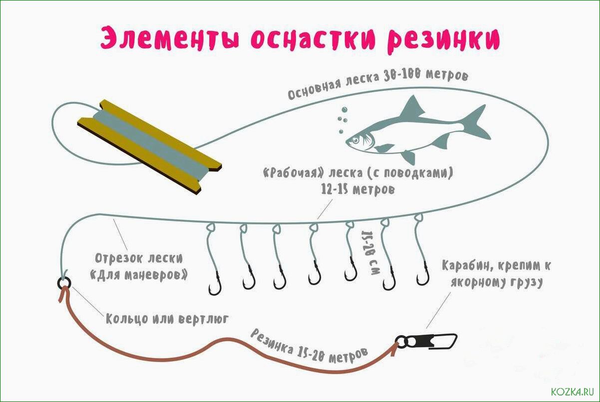 (правильно, выбрать, рыболовную, леску, достичь) Как правильно выбрать рыболовную леску и достичь успеха на рыбалке — полезные советы, рекомендации и секреты