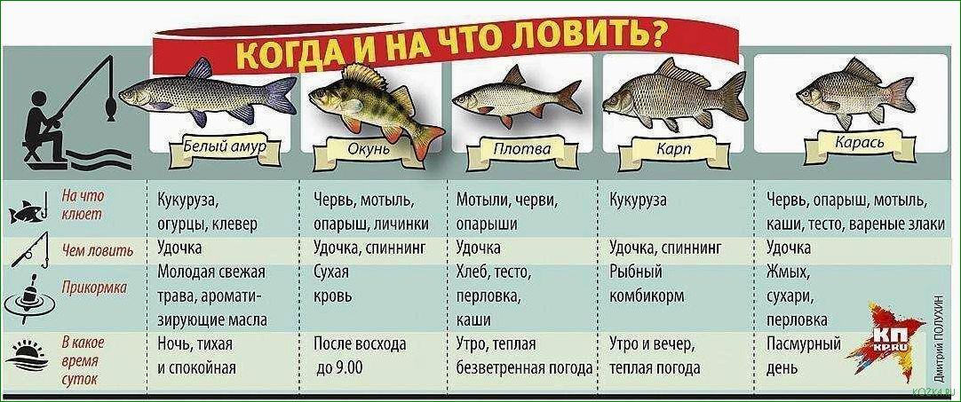 (лучшие, способы, ловли, рыбы, зимой) Лучшие способы ловли рыбы зимой — какую рыбу можно поймать и какие методы использовать
