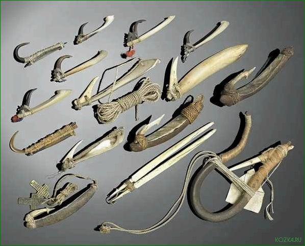 Самые удивительные открытия — история самых древних рыболовных крючков