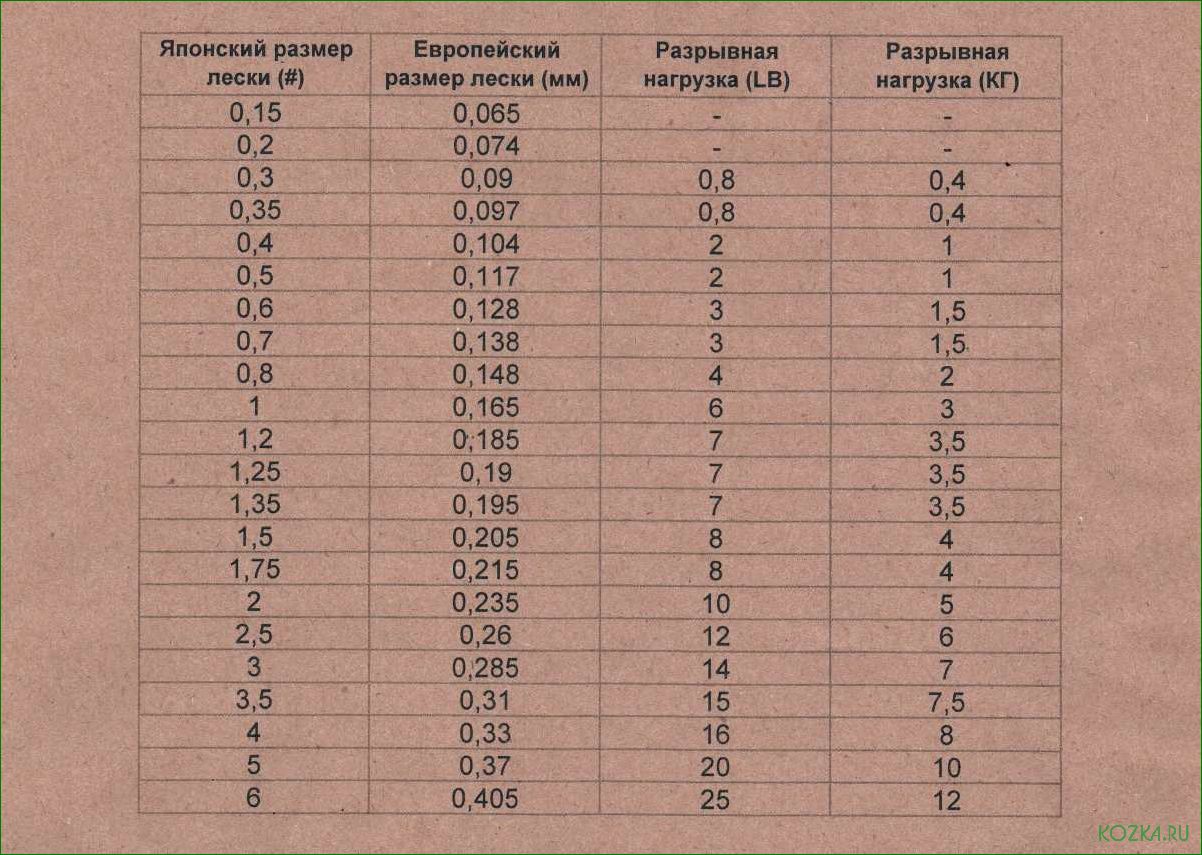 Память рыболовной лески — как улучшить ее хранение и уход, чтобы сохранить ее высокую производительность 