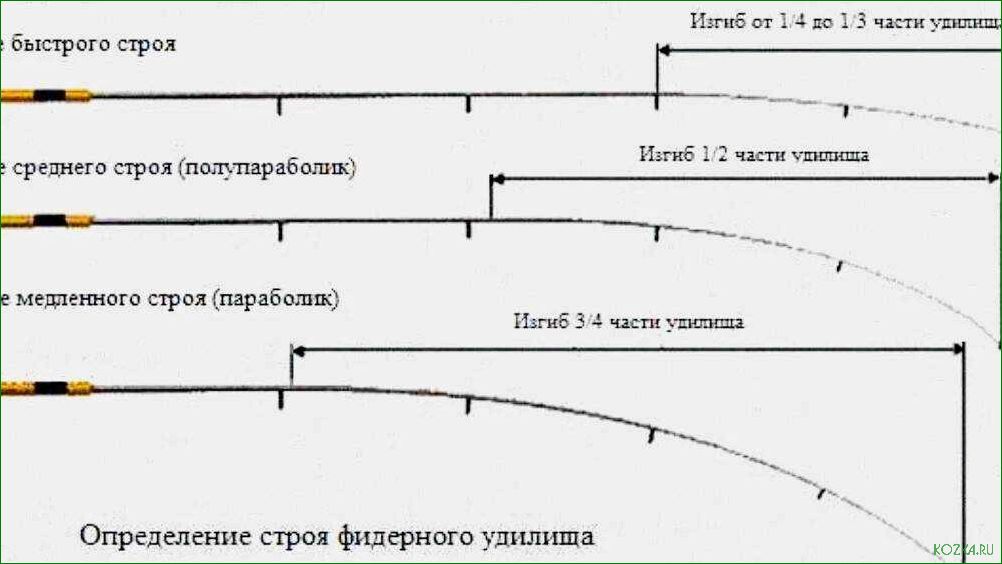 Все, что вам нужно знать о наконечниках удилища — разнообразие видов, особенности использования и советы по выбору