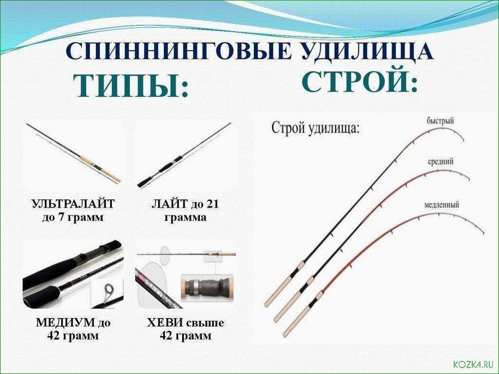 Все, что вам нужно знать о наконечниках удилища — разнообразие видов, особенности использования и советы по выбору