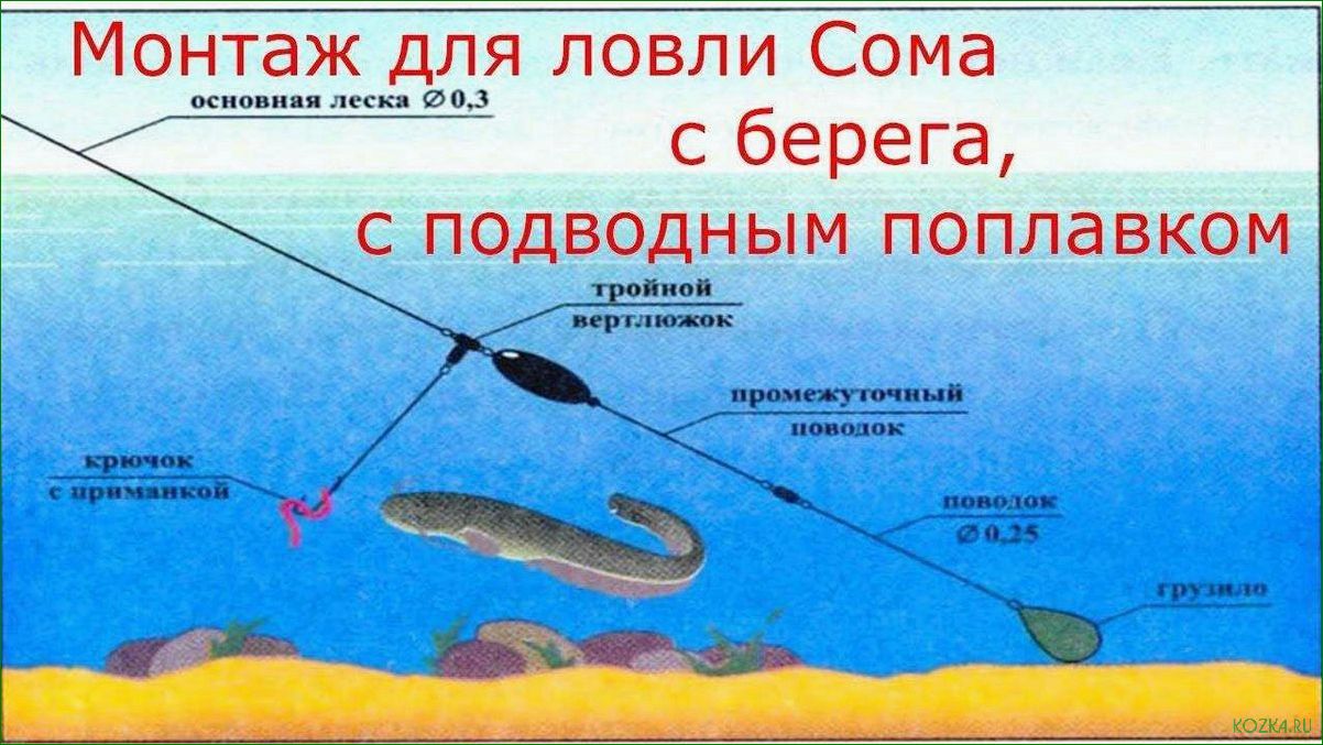 (рыбалка, умбе, правильно, подобрать, снасти) Рыбалка на Умбе — как правильно подобрать снасти и раскрыть секреты успешной ловли