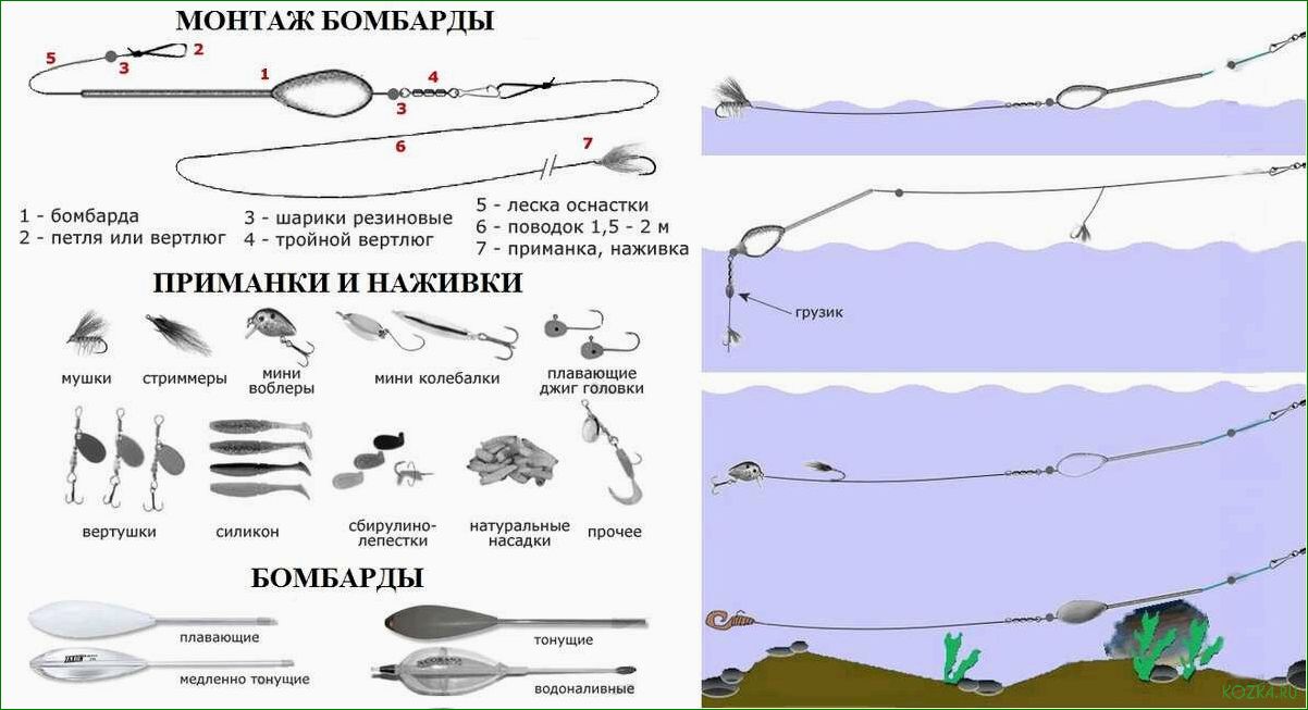 (рыбалка, умбе, правильно, подобрать, снасти) Рыбалка на Умбе — как правильно подобрать снасти и раскрыть секреты успешной ловли