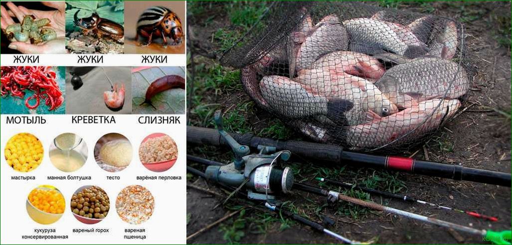 Рыбалка в Подмосковье — откройте для себя лучшие снасти и раскройте секреты успеха на водоемах