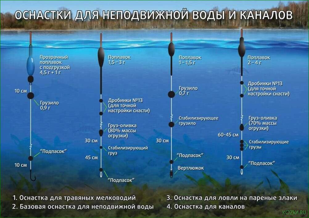 Сенсорика удилища — ключевой фактор успеха — полное руководство по выбору и использованию для максимального результата