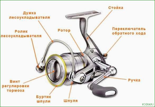 (элементы, рыболовной, катушки, ключевые, компоненты) Элементы рыболовной катушки — ключевые компоненты, их роль и функциональные особенности
