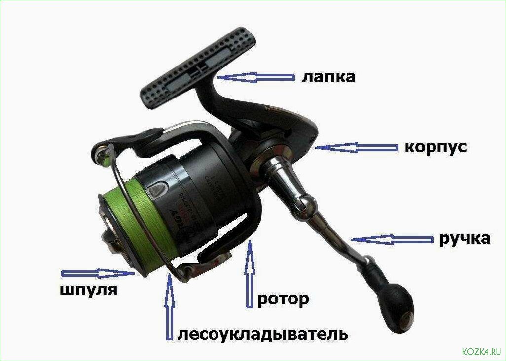 (шпули, рыболовной, катушки, разновидности, особенности) Шпули рыболовной катушки — разновидности, особенности, советы по выбору и правильному уходу